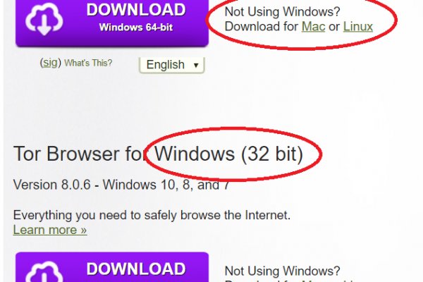 тор браузер для windows 10 64 попасть на гидру